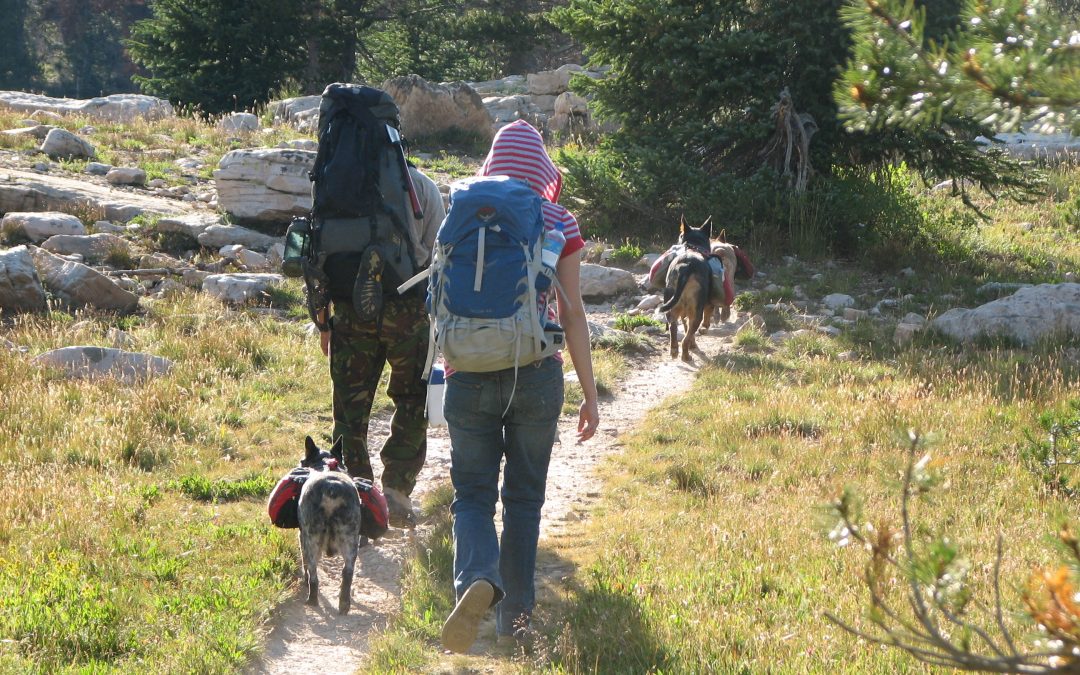 backpacking to ruth lake