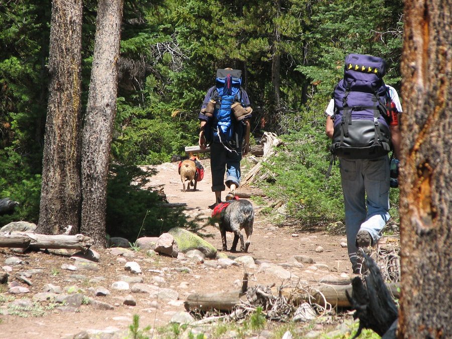 Weekend Wanderer: How to Prepare for a Weekend Backpacking Trip